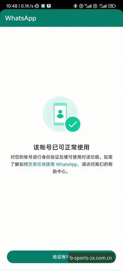 B体育登录入口评测实用指南：从注册异常到稳定访问的完整解决方案